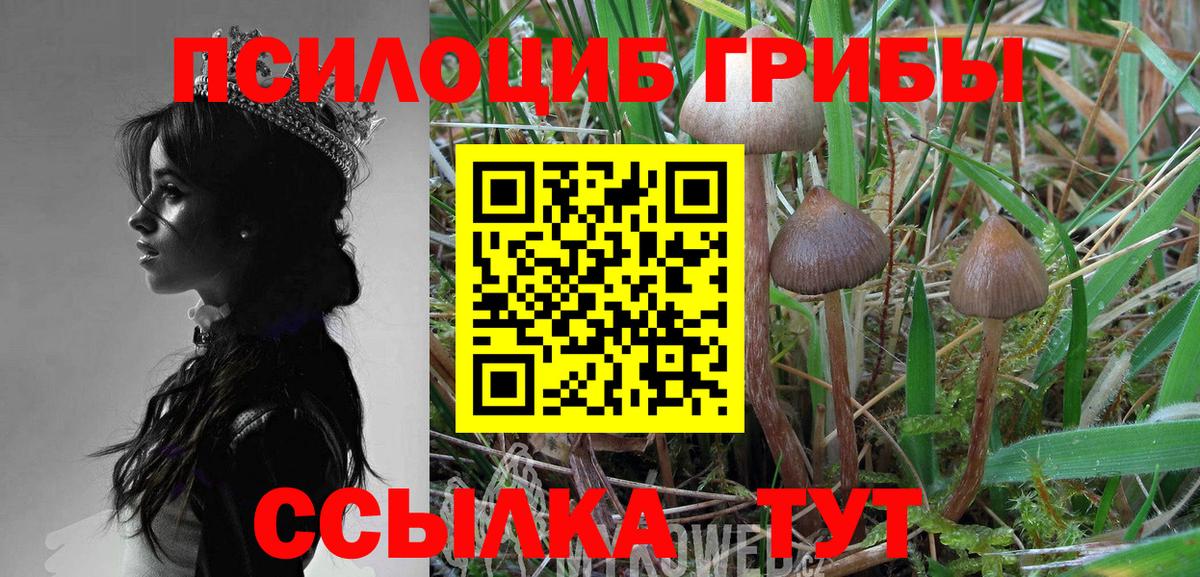 Галлюциногенные грибы Magic Shrooms  Псилоцибиновые грибы MAGIC MUSHROOMS  Беслан  Вход с VPN 