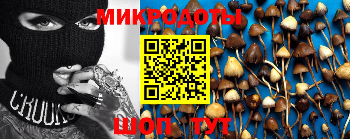 Галлюциногенные грибы Psilocybine cubensis Беслан